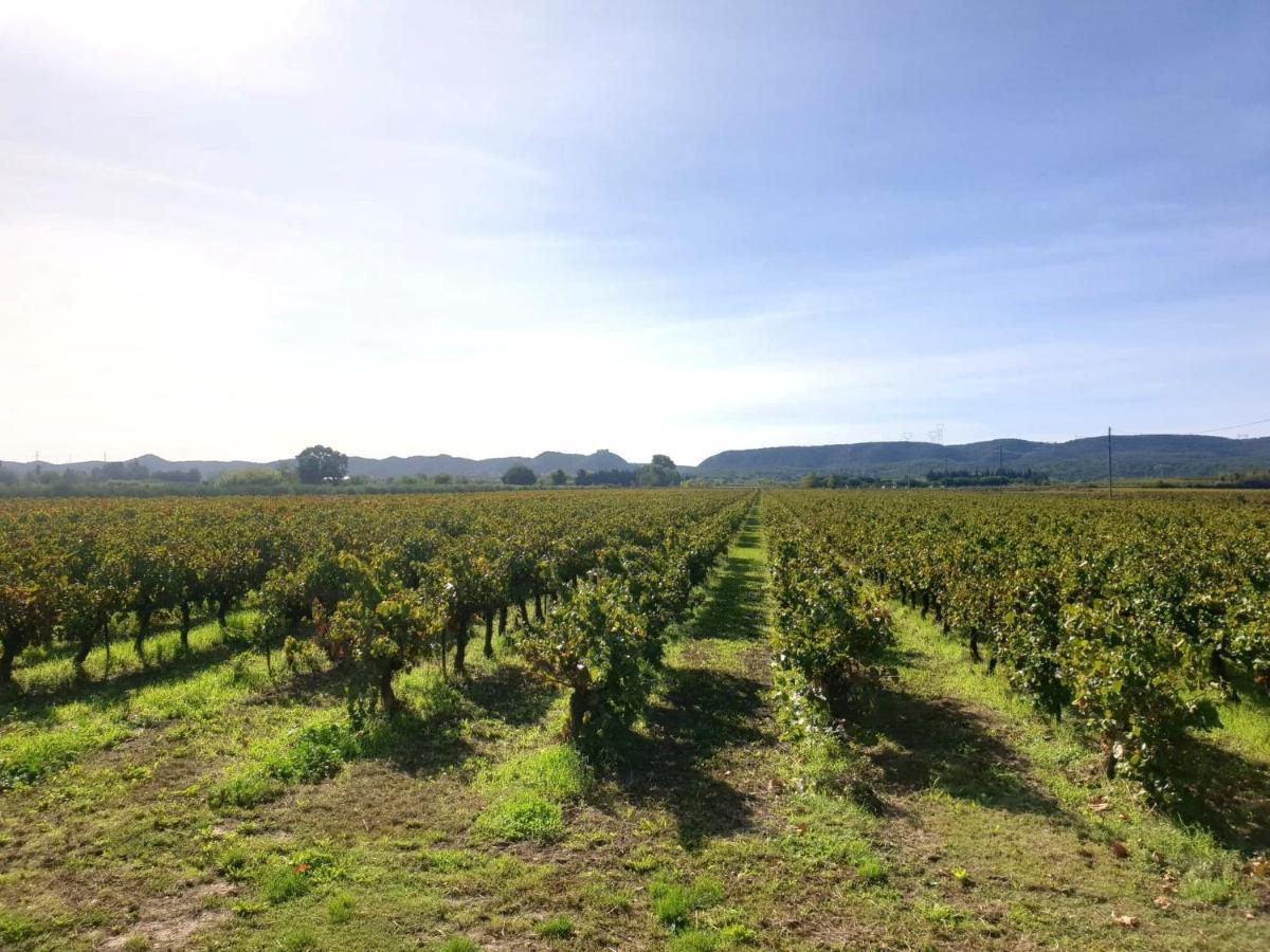 Domaine De Sevanes Saint-Paul-les-Fonts Екстер'єр фото