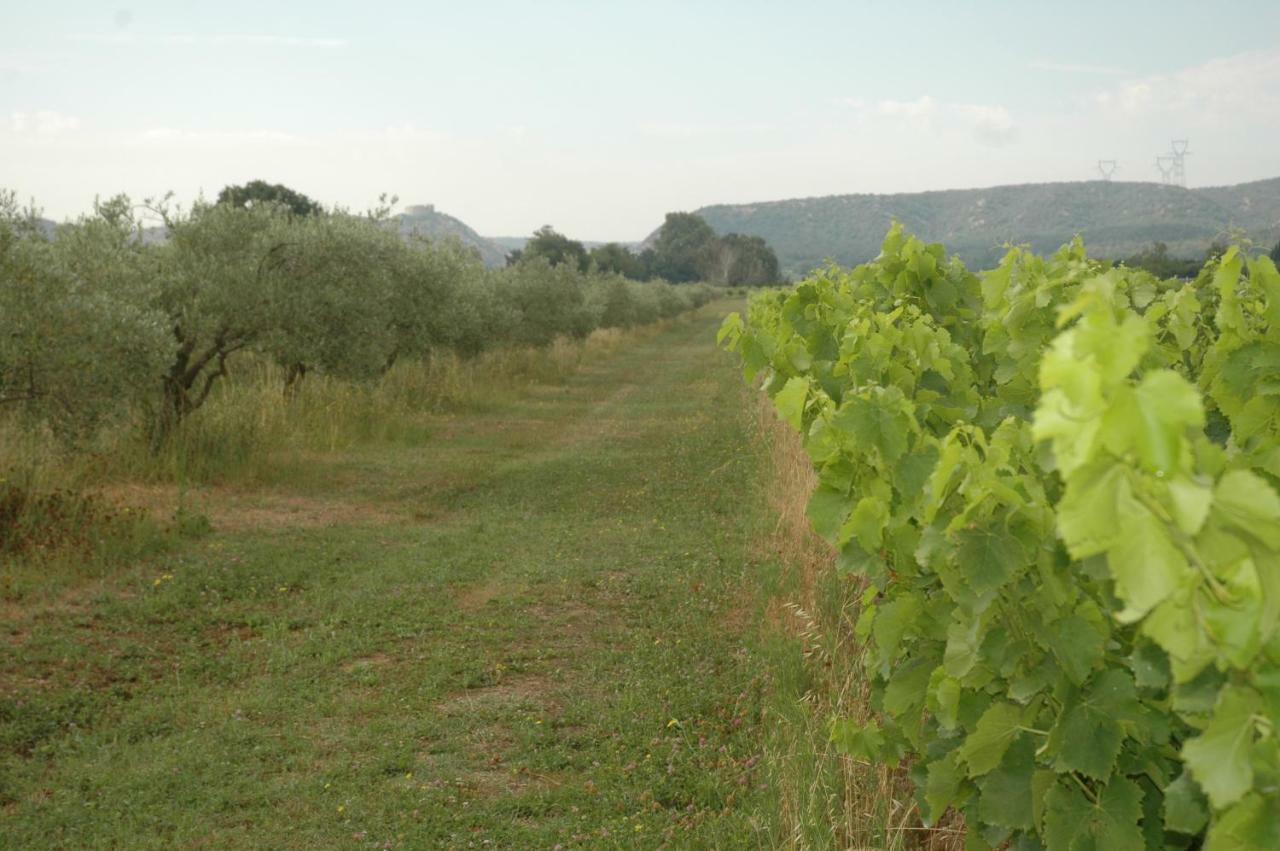 Domaine De Sevanes Saint-Paul-les-Fonts Екстер'єр фото